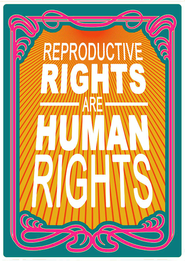 Reproductive Rights Are Human Rights Roe Retro Painting by Tony Rubino