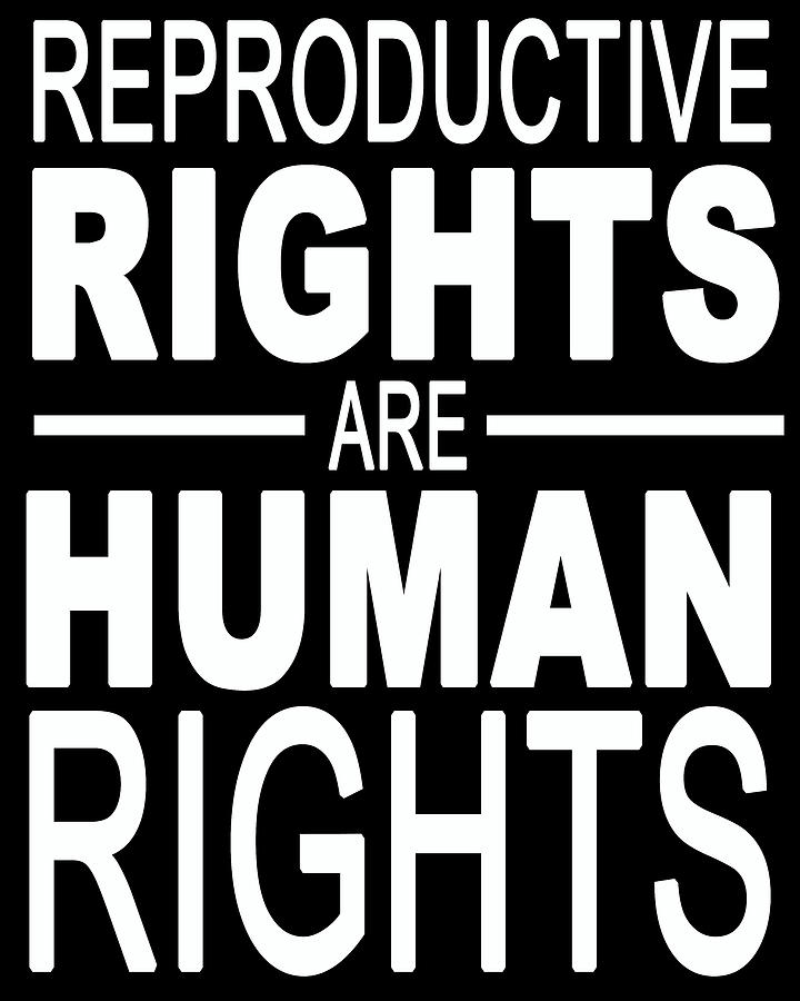 Reproductive Rights Are Human Rights Painting by Tony Rubino