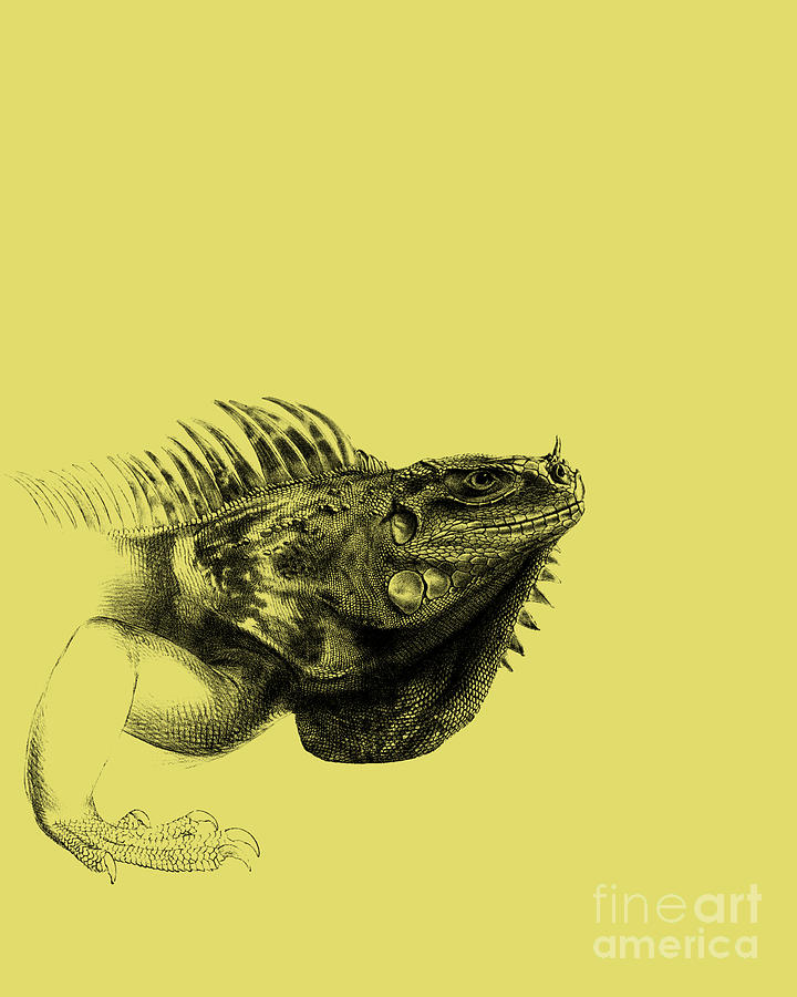 Reptile Drawing Digital Art by Madame Memento - Fine Art America