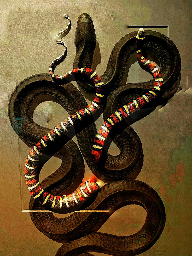 Reptiles Digital Art by Gil Cope