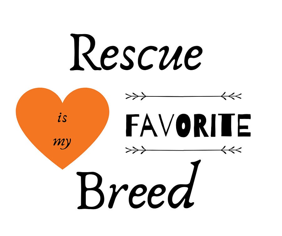 Animal Rescue Digital Art - Rescue Love by Roatan Animal Support Animal Rescue Digital Art - Rescue Love by Roatan Animal Support