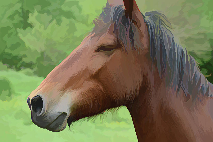 Rescued Mustang in Acrylic Photograph by Roberta Byram