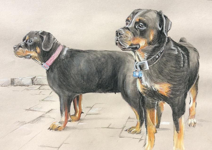 Rescued Rottis Painting by Teresa Smith