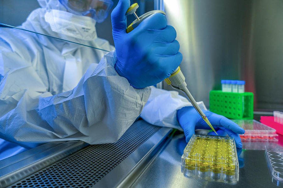 Researching vaccine to novel coronavirus 2019-nCoV. Close-up shot of a scientist preparing glass slide. Photograph by Boonchai Wedmakawand