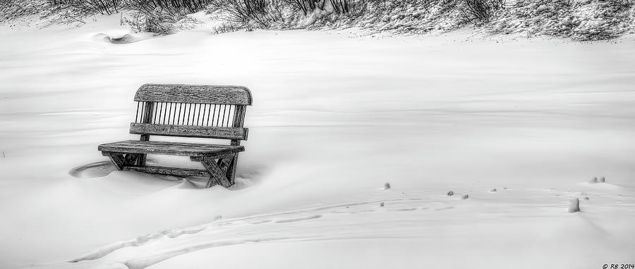 Reserved for Winter Photograph by Richard Bean
