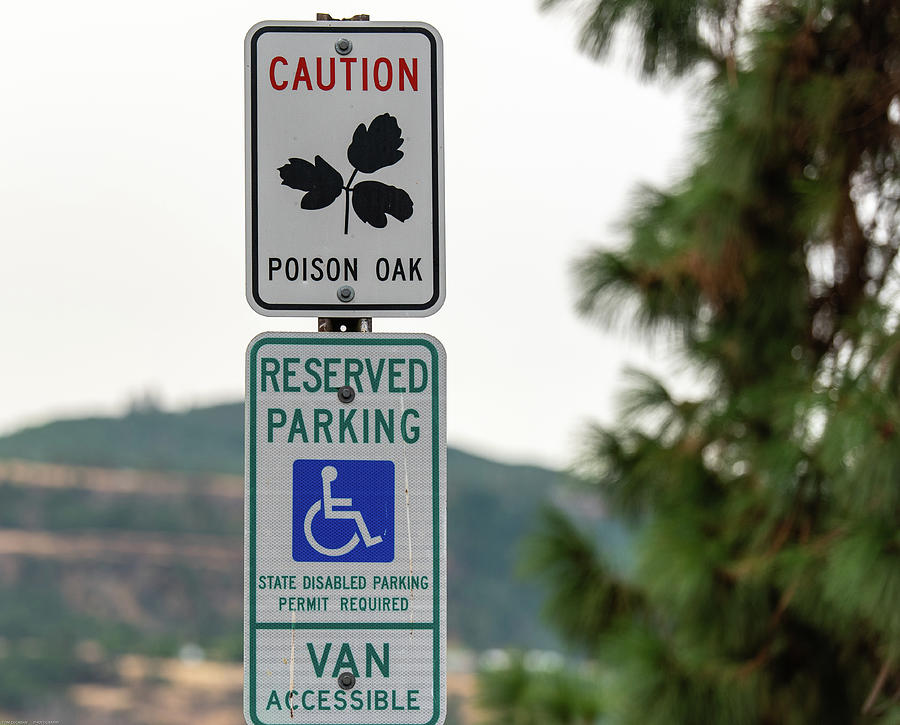 Reserved Parking and Poison Oak Photograph by Tom Cochran