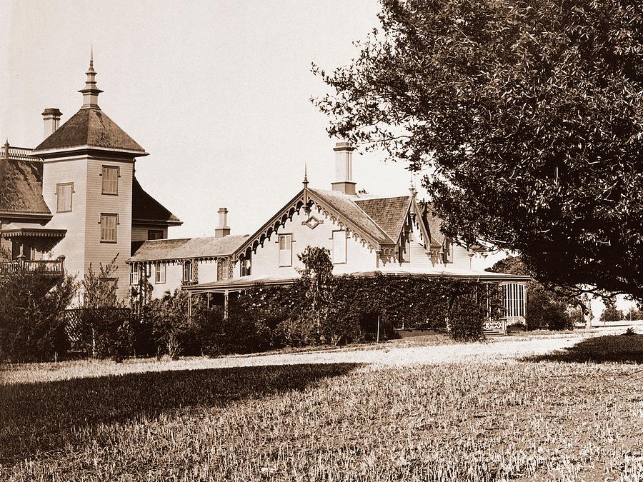 Residence of Mr. Howard, San Mateo, California, with Olive Tree, 1863-1880 Photograph by Carleton Watkins Residence of Mr. Howard, San Mateo, California, with Olive Tree, 1863-1880 Photograph by Carleton Watkins