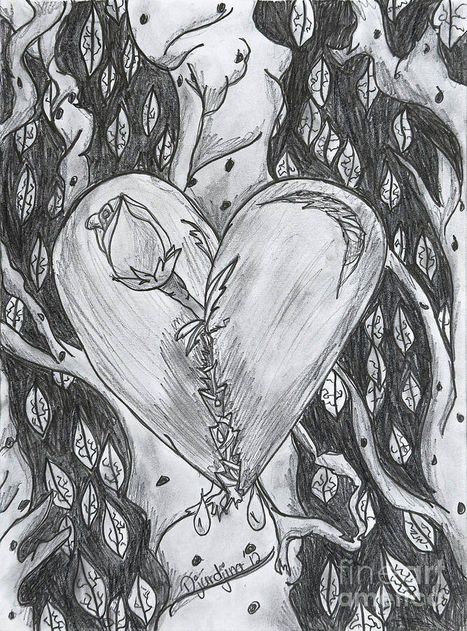 Resilient Blooms - Pencil Drawing of a mended Heart Drawing by Djurdjina Jovanovic