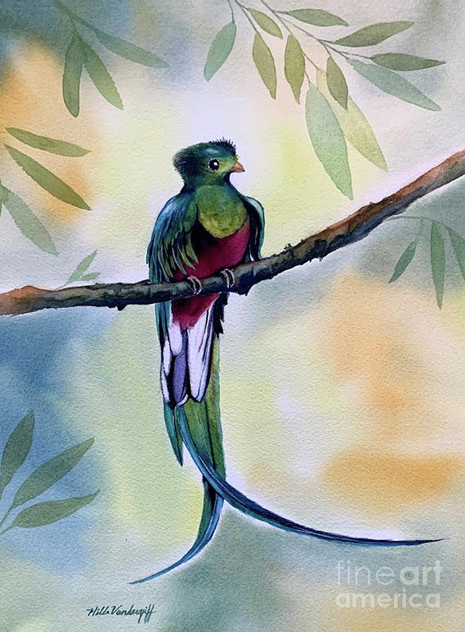 Resplendent Quetzal Bird Exotic  Painting by Hilda Vandergriff