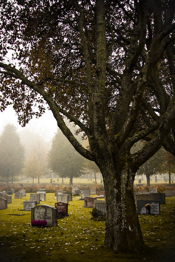 Fall Photograph - Rest in Peace by Maggie Terlecki