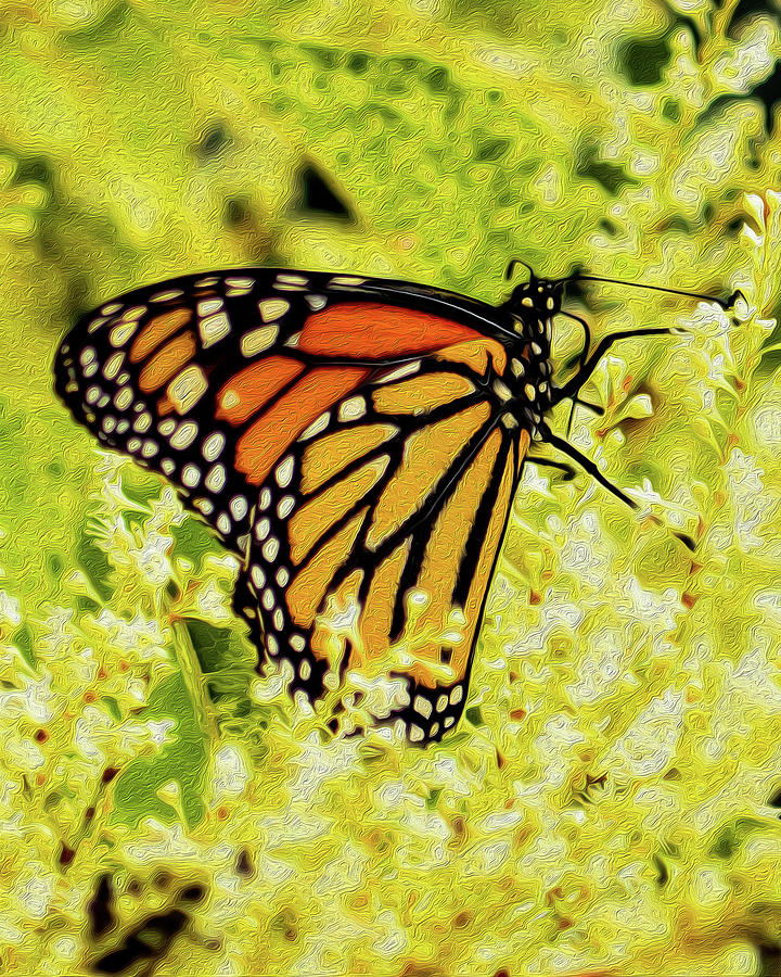 Butterfly Gardens Digital Art