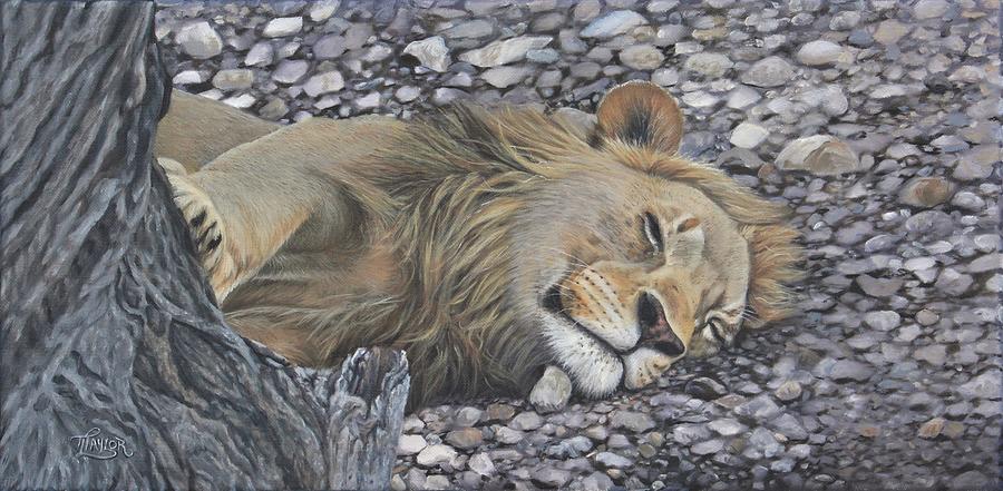 Resting Assured Painting by Tammy Taylor