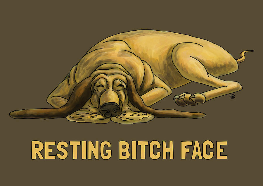 Sleeping Dog Digital Art - Resting Bitch Face, Blood Hound by David Burgess