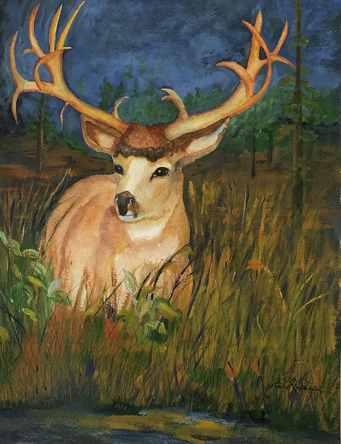 Resting Buck Painting by Jane Ricker