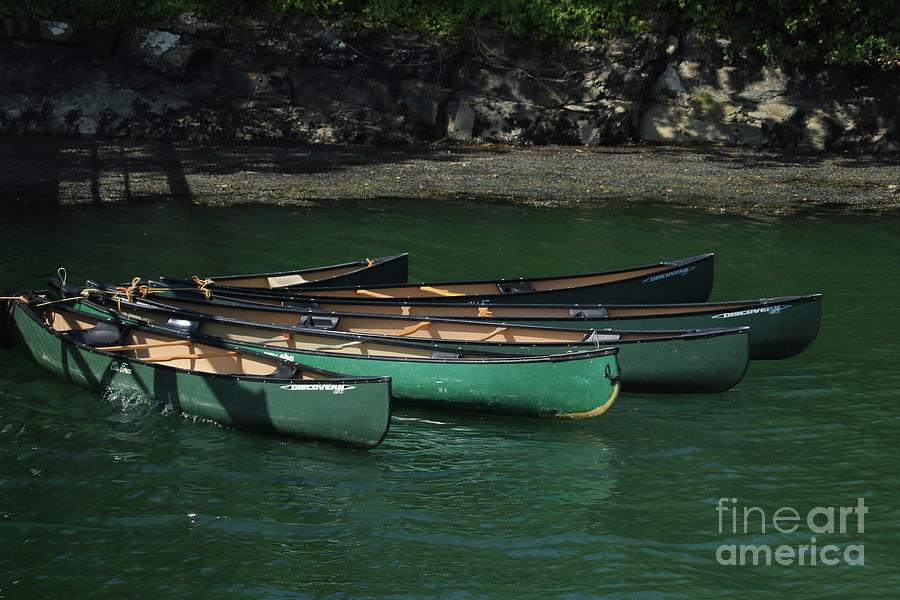 Resting Canoes Photograph by Terri Waters