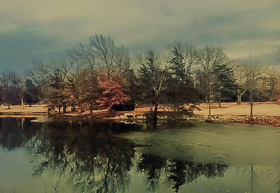 Winter Photograph - Resting Colors by Abbie Loyd Kern