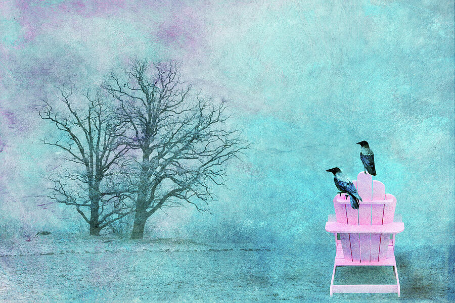 Resting Crows Photograph by Randi Grace Nilsberg Resting Crows Photograph by Randi Grace Nilsberg