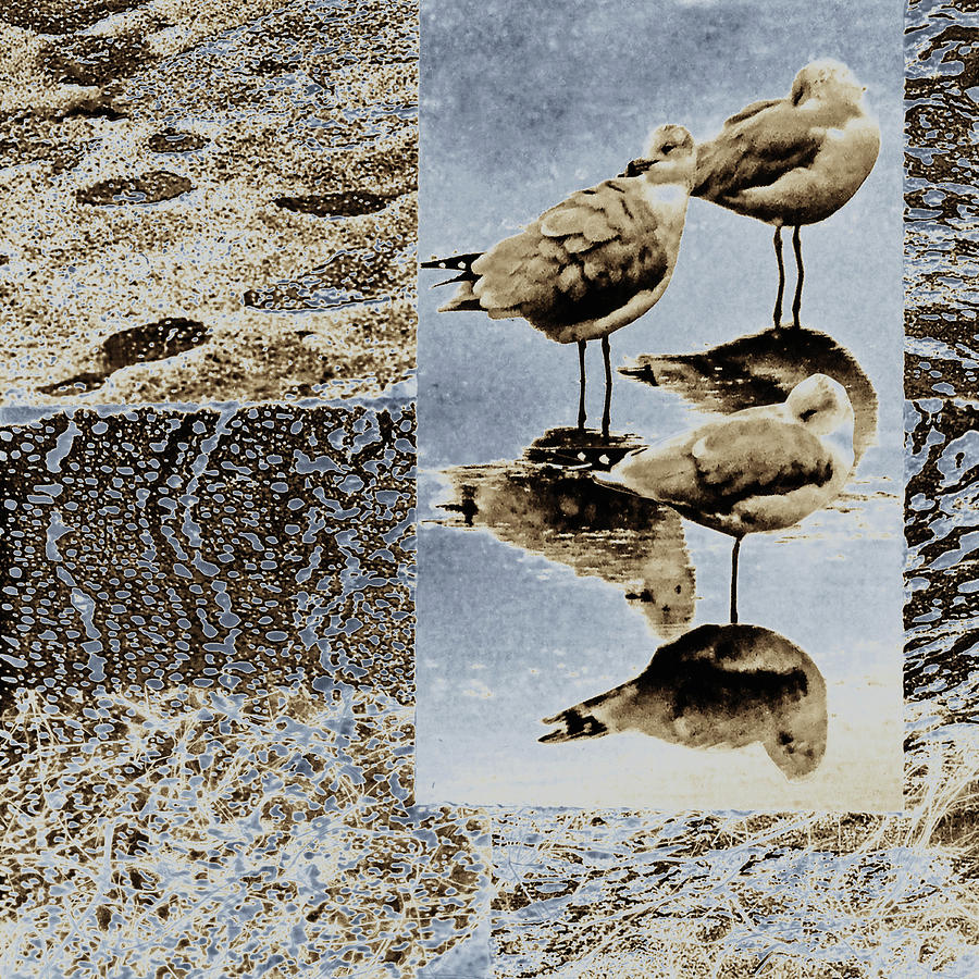 Nature Mixed Media - Resting Gulls by Sharon Nickodem