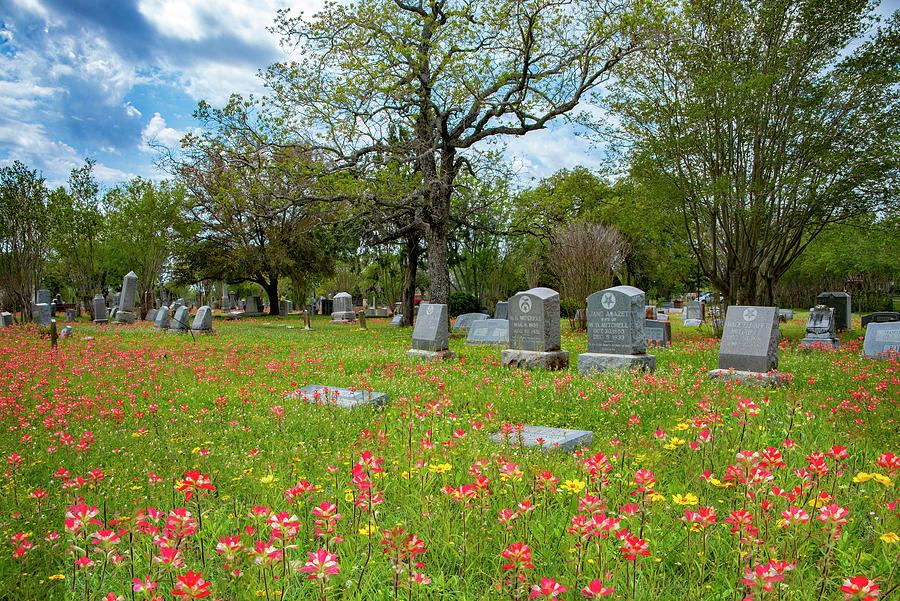 Resting in Peace and Wildflowers Photograph by Lynn Bauer
