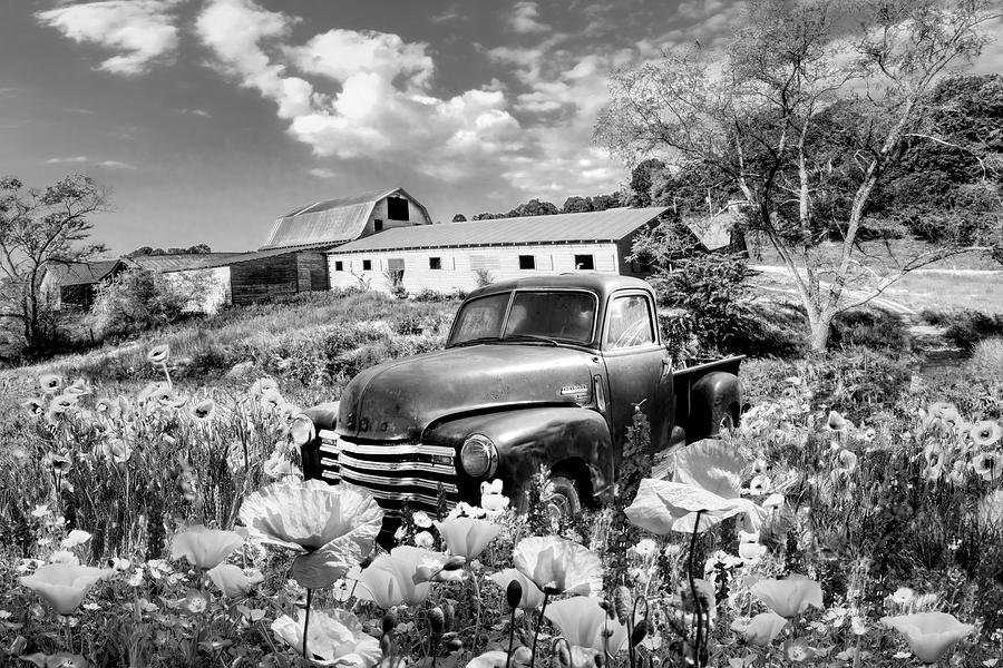 Barn Photograph - Resting in Poppies Black and White by Debra and Dave Vanderlaan