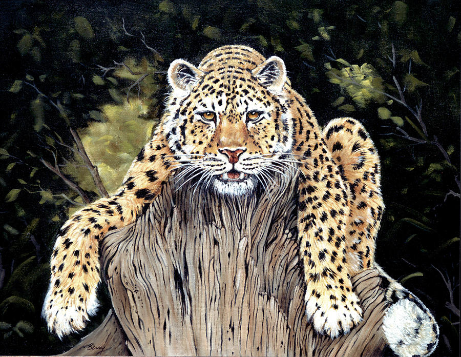 Resting Leopard Painting by Charles Berry