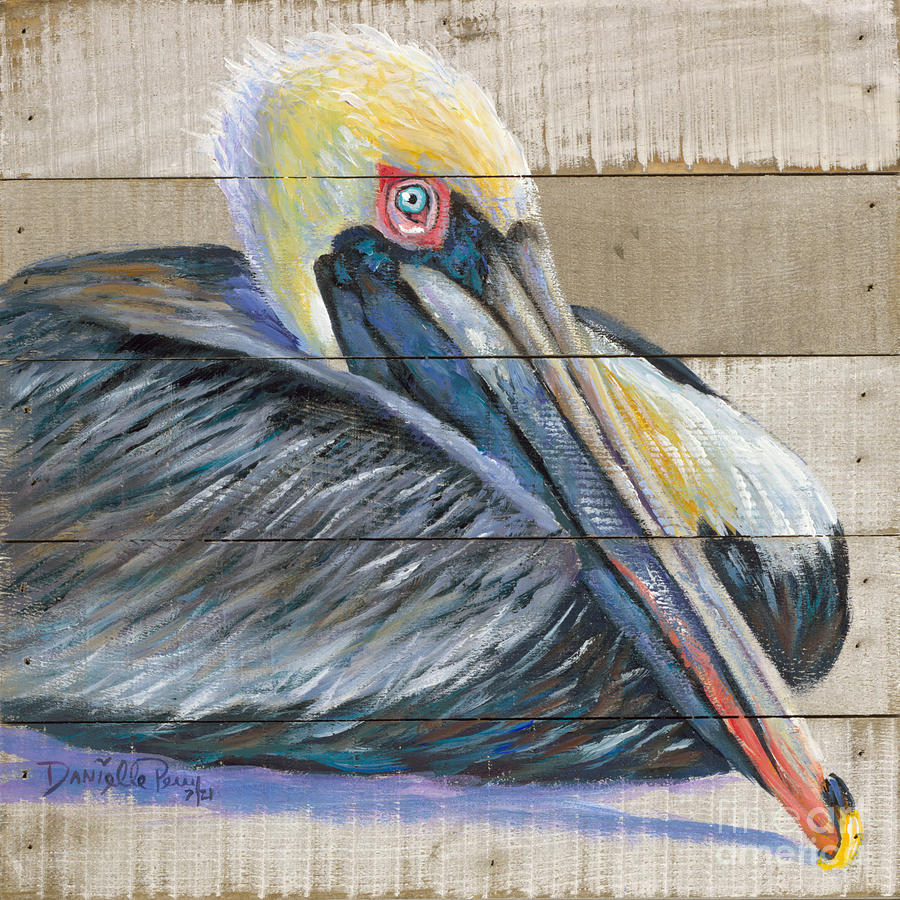 Resting Pelican Painting by Danielle Perry