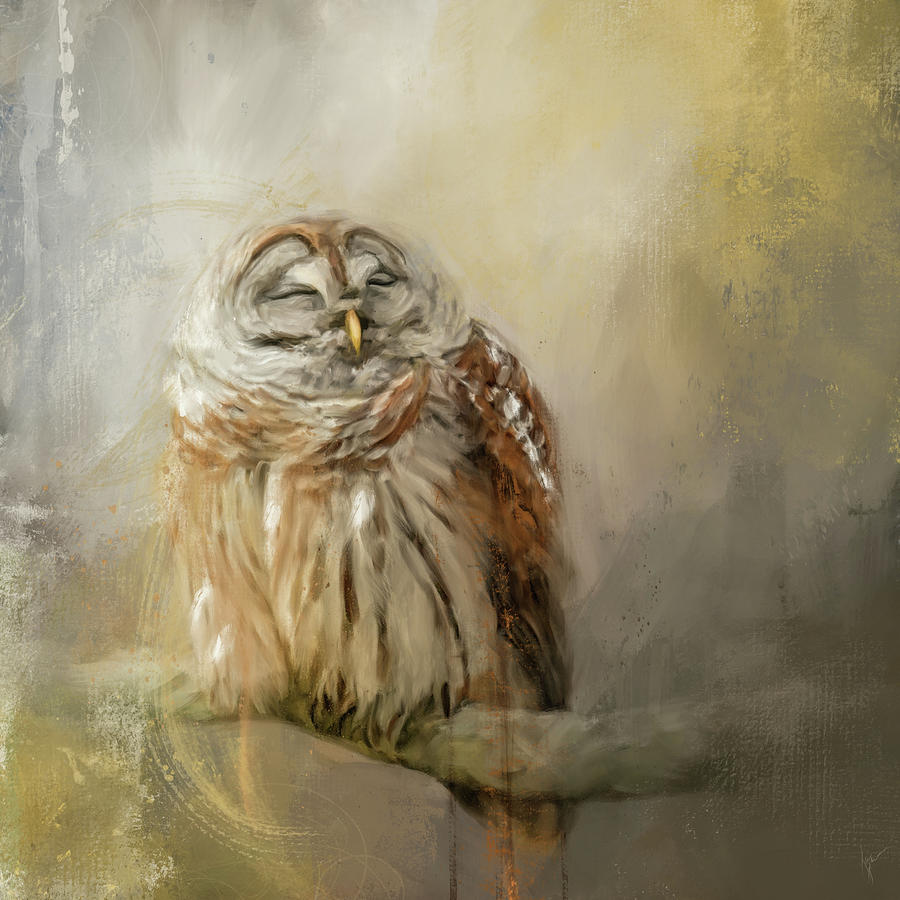 Resting Place Barred Owl Painting by Jai Johnson