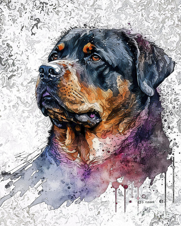 Resting Rottie Mixed Media by P Russell