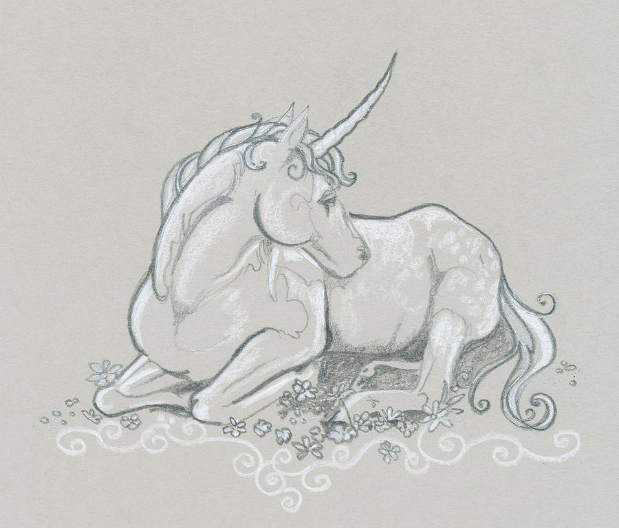 Resting Unicorn Drawing by Katherine Nutt