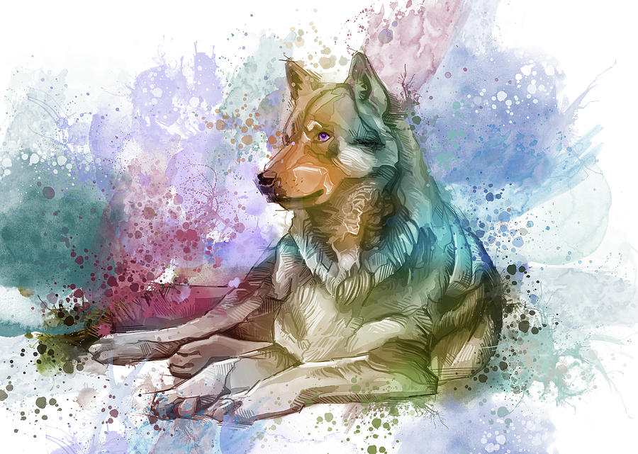 Resting Wolf Watercolor Digital Art