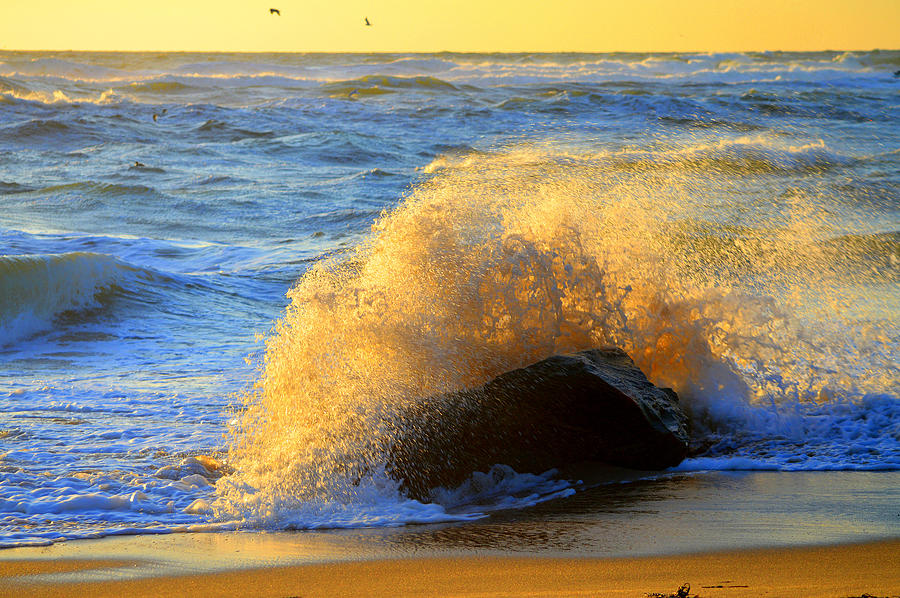 Restless Sea Cape Cod National Seashore Photograph By Dianne Cowen Cape Cod And Ocean 