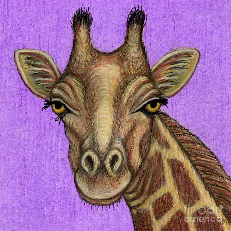 Reticulated Giraffe  Painting by Amy E Fraser