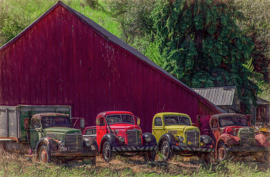 Retired Farm Trucks Looking Good Photograph by Marcy Wielfaert
