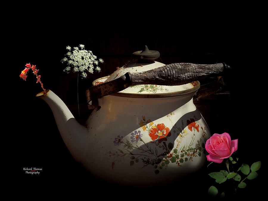 Retired Tea Pot Photograph by Richard Thomas
