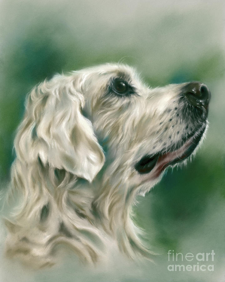 Retriever Dog in Profile Painting by MM Anderson