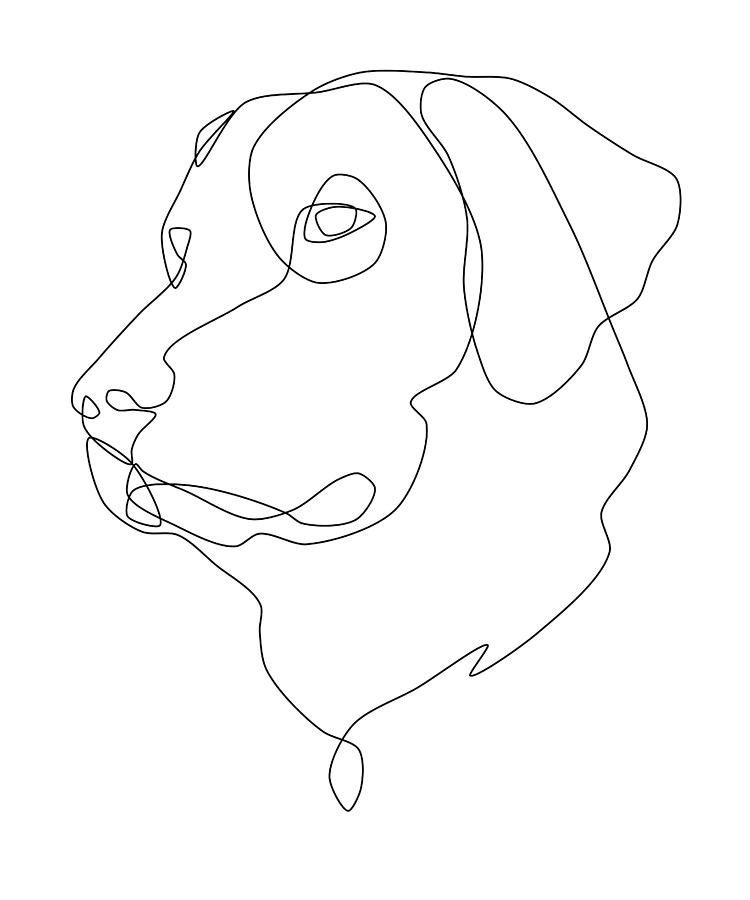 Retriever Dog Line Art Drawing by Jindra Noewi