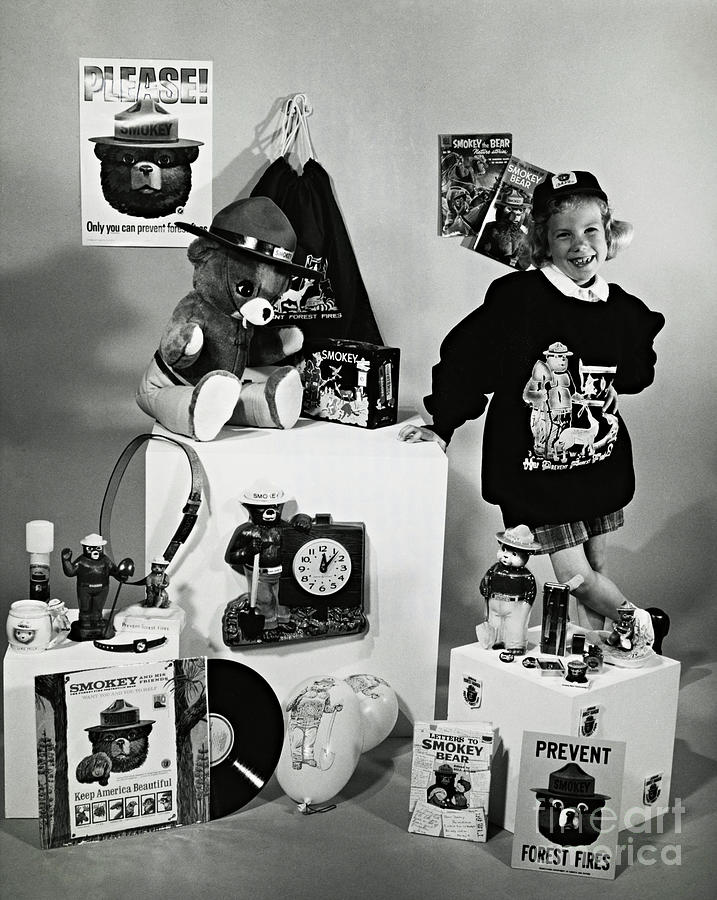 Retro 1967 Collection of Smokey Bear Products and Novelties Photograph by Peter Ogden