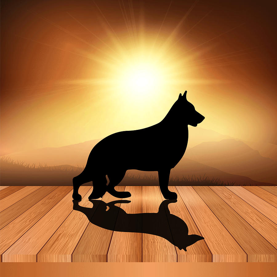Abstract Digital Art - Retro Dogs Shadow, Black Dog Silhouette And Sunset Illustration by Mounir Khalfouf