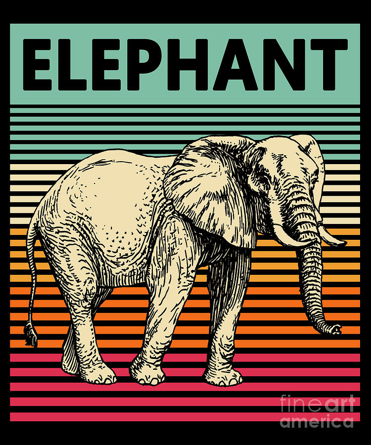 Elephant Vintage Print - VP1083