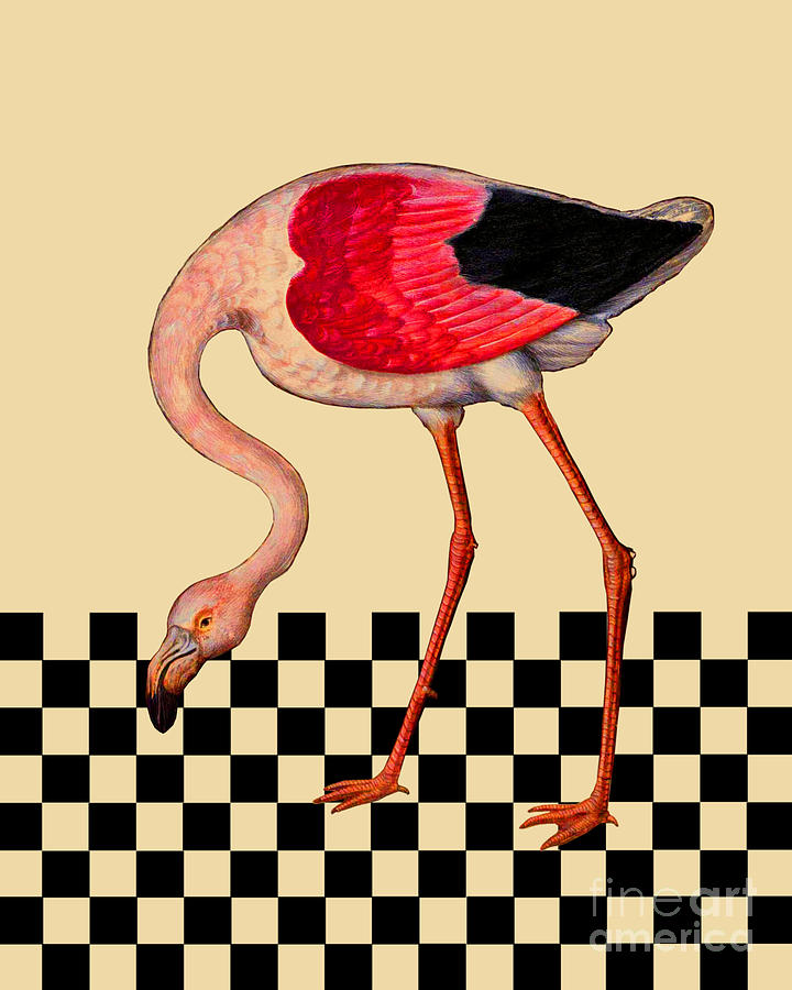 Flamingo Digital Art - Retro Flamingo by Madame Memento