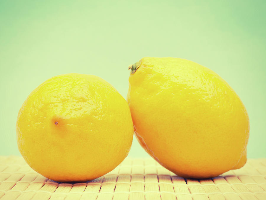 Retro Lemons Photograph by Wim Lanclus
