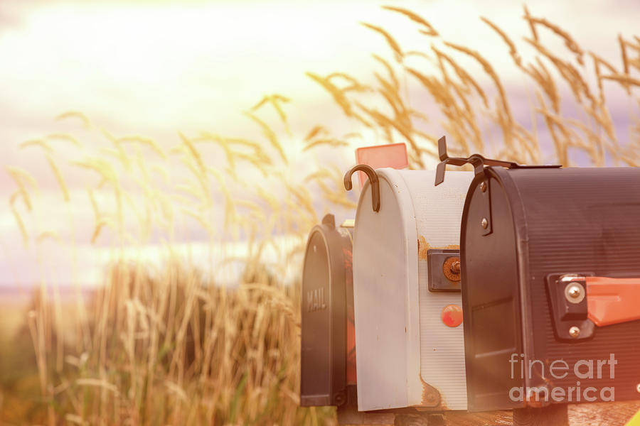Retro mail boxes against long grass background Photograph by Jane Rix
