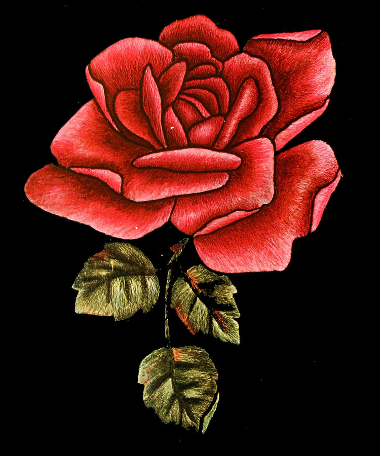 Retro Rose Digital Art by Flippin Sweet Gear