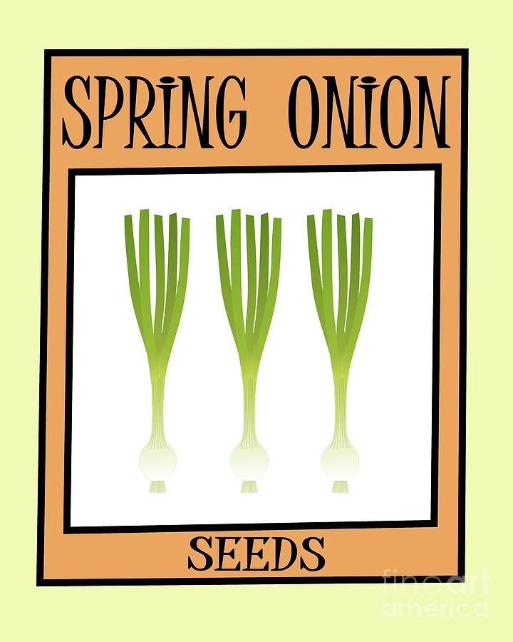 Retro Seed Packet Spring Onions Digital Art by Donna Mibus