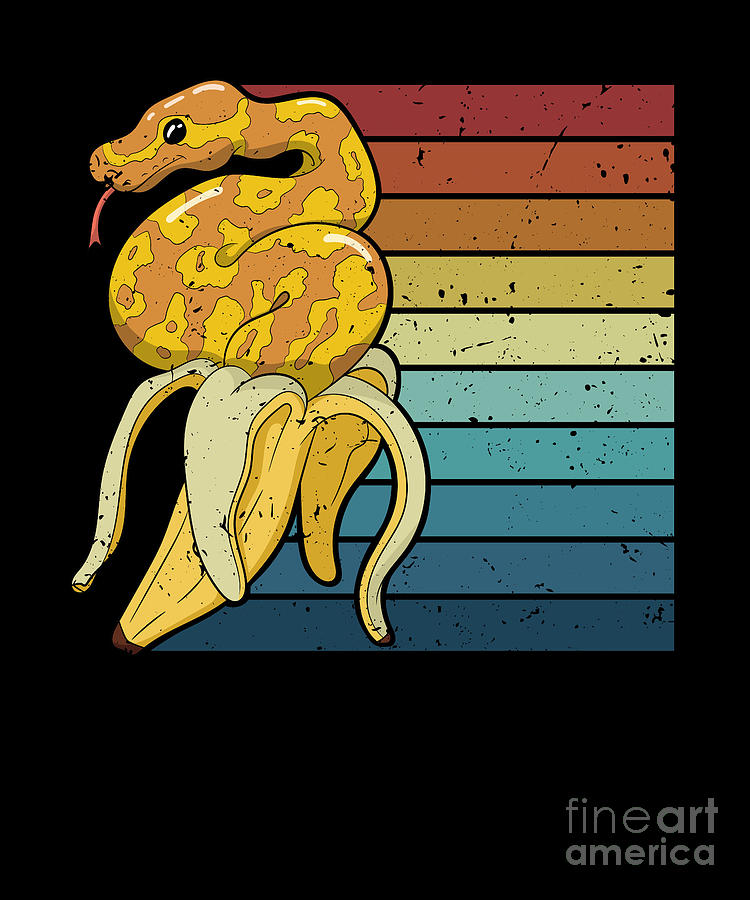 Retro Snake Lover Pythonidae Snake Owner Banana Ball Python Digital Art ...