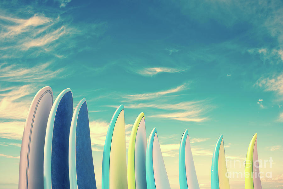 Retro Surfboards Nature Photo Photograph by PIPA Fine Art - Simply Solid