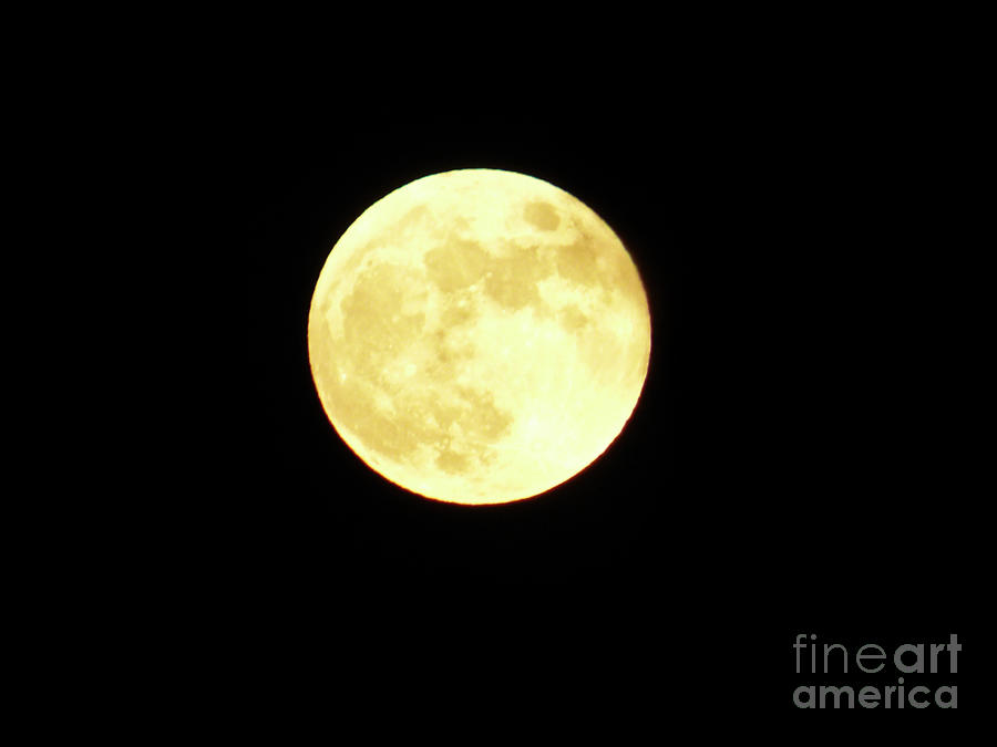 Retrograde Full Moon Photograph by Julieanne Case Fine Art America