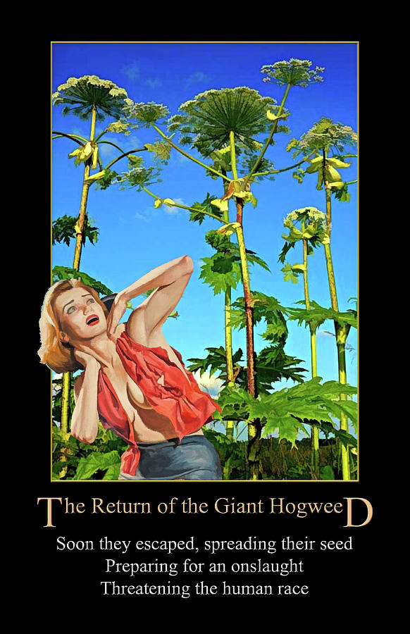 Return of the Giant Hogweed Digital Art by John Haldane
