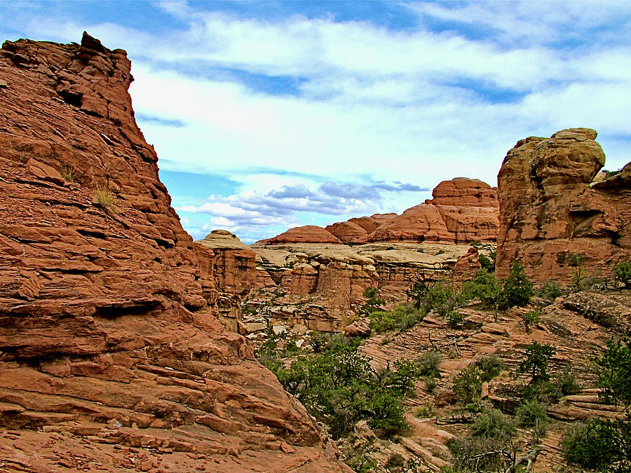 Return Trail to Elephant Hill, Needles District, CanyonlandsNational Park, Utah. Photograph by Ruth Hager