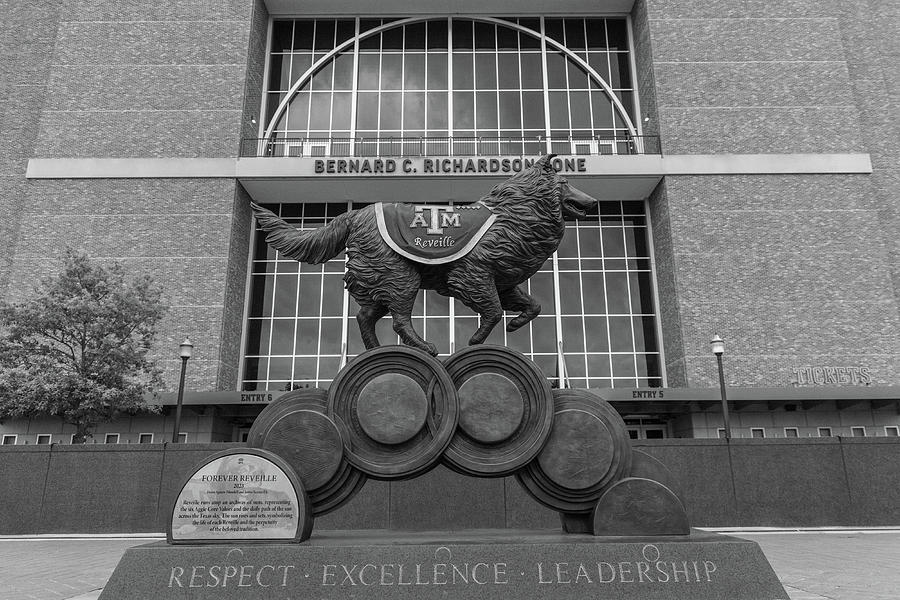 Reveille statue Texas A and M Black and White Photograph by John McGraw ...